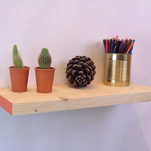 May include: A wooden shelf with a light orange edge, featuring two potted cacti, a pine cone, and a gold can filled with coloured pencils.