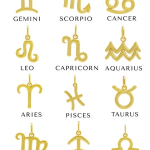 Gold Zodiac Pendant Necklace - 10 Karat Solid Gold - Astrology Necklace - Optional Gold Chain 0.7mm - Horoscope Necklace