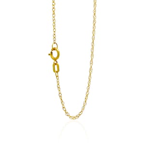 May include: A gold chain necklace with a lobster clasp.