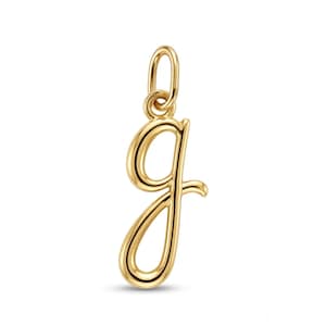 Gold Lower Case Initial G Charm - 10 Karat Solid Gold - Letter G Necklace - Optional Gold Chain