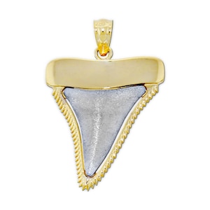 Gold Shark Tooth Charm - Shark Tooth Pendant Necklace - 10 Karat Solid Gold with Optional Gold Rope Chain - Shark Tooth Necklace