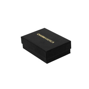 Op de afbeelding: Een rechthoekig zwart sieradendoosje met een deksel. Op de bovenkant van het doosje staat de merknaam CHARMAMERICA in gouden hoofdletters gedrukt. Het doosje heeft een matte afwerking en een gestructureerd ontwerp, vanuit een hoge hoek.