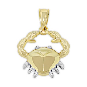 Gold Cancer Zodiac Charm - 10 Karat Gold with Optional Gold Chain - Double Sided - Cancer Zodiac Necklace