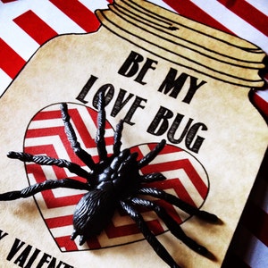 Op de afbeelding: Een Valentijnskaart met een rood-wit chevronhart en een zwarte spin. De kaart zegt "Be My Love Bug".