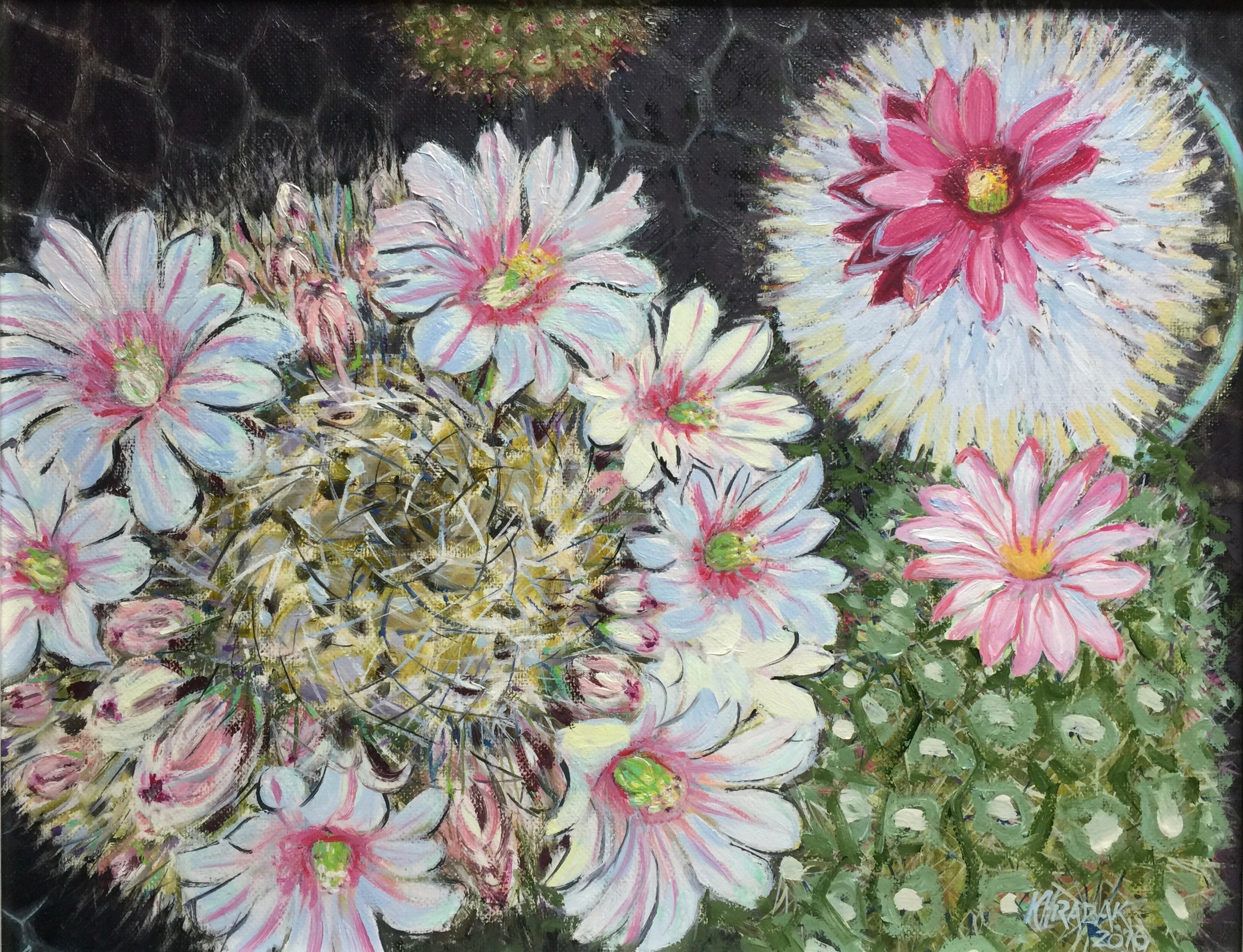 Cactus Blossoms