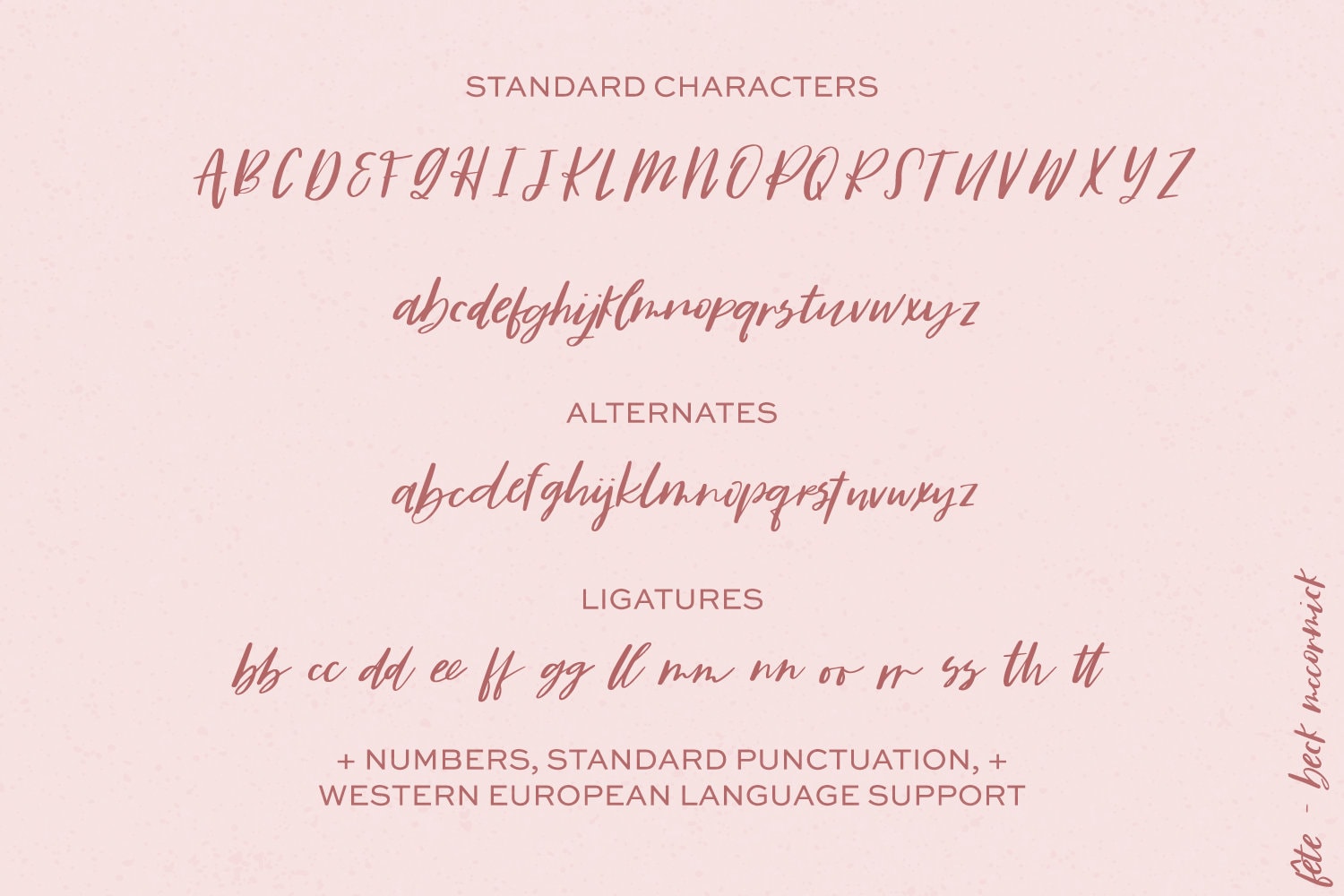 Handlettered Font F\u00eate Casual Script Font Feminine Font Script