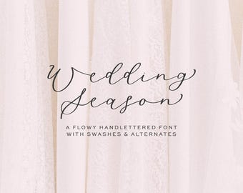 Hochzeitssaison Schreibschrift: Moderne Kalligraphie, Cricut & Procreate Schriftart