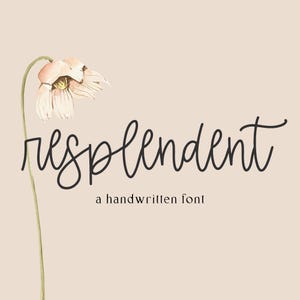 Resplendent Script Font: Modern Handwriting Font