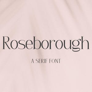 Roseborough Modern Serif Font: Chic Branding Font