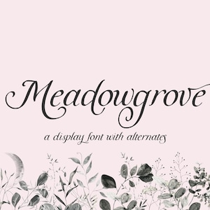 Fonte de caligrafia Meadowgrove: fonte de exibição elegante