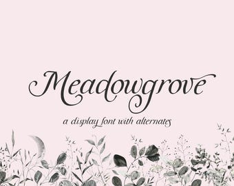 Meadowgrove Kalligraphie Schrift: Elegante Display Schrift