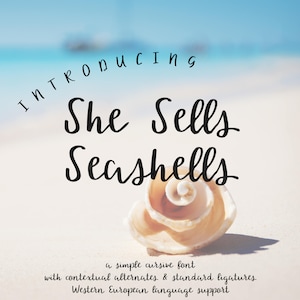She Sells Seashells Font: Quirky Handwritten Font for Cricut & Procreate