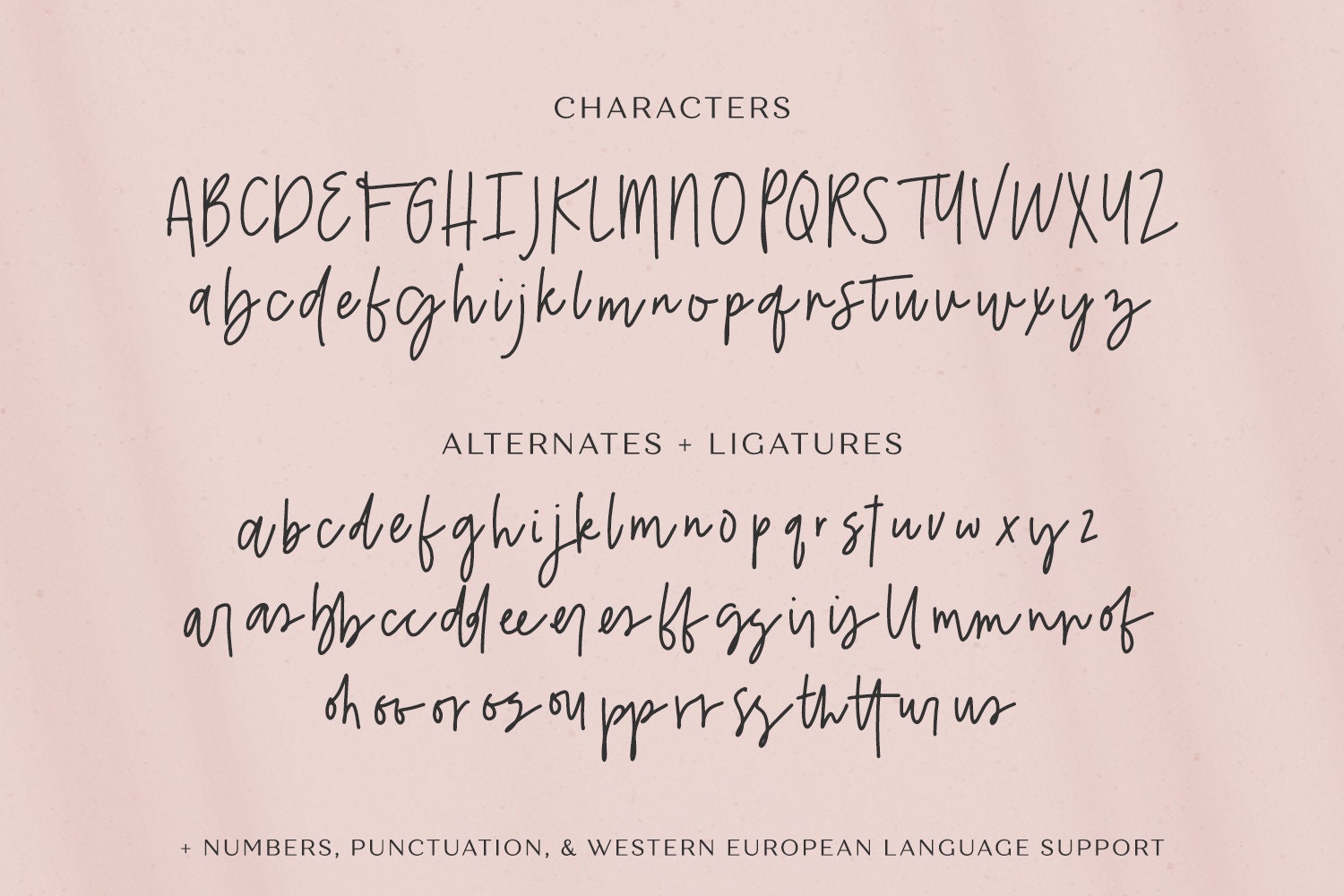 Belovedly Script Font: Modern Calligraphy for Cricut & Procreate - Etsy UK
