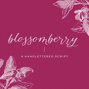 Blossomberry Script Font: Modern Calligraphy with Swashes