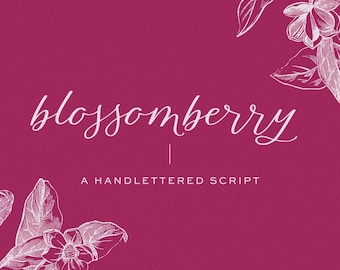 Blossomberry Script Font: Modern Calligraphy with Swashes
