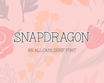 Snapdragon Serif Font: Handlettered Farmhouse Font