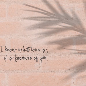 Belovedly Script Font: Modern Calligraphy for Cricut & Procreate - Etsy