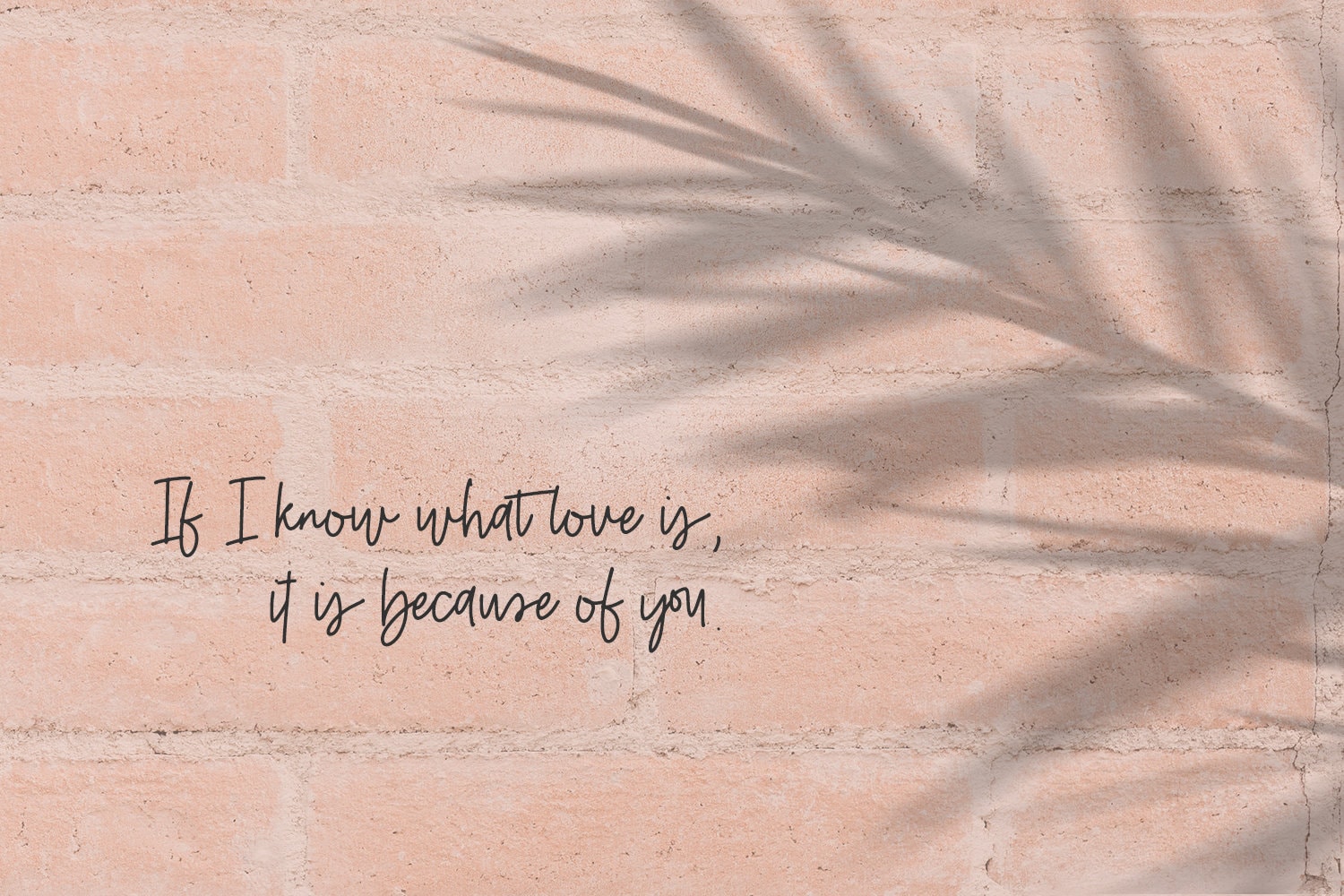 Belovedly Script Font Modern Calligraphy Handwritten Script - Etsy