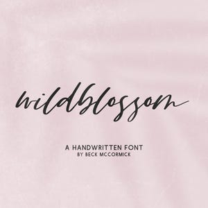 Wildblossom Script Font: Modern Handwriting Font