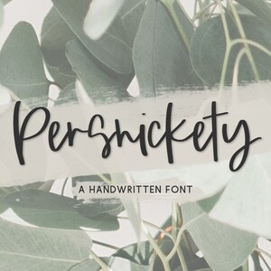 Op de afbeelding: Een handgeschreven lettertype genaamd "Persnickety" weergegeven op een witte achtergrond met een penseelstreep-effect. De tekst is zwart en wordt omringd door groen gebladerte.