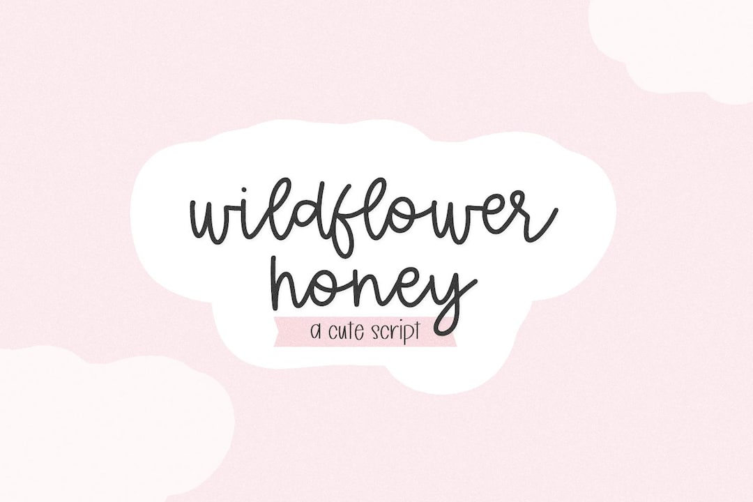 Wildflower Honey Script Font: Cursive Font for Cricut & Procreate ...