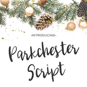 Parkchester Script Font: Bouncy Handwritten Font for Cricut & Procreate
