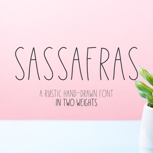 May include: A hand-drawn font called "Sassafras" in black text on a pink background. The text says "A rustic hand-drawn font in two weights". A small succulent plant in a light blue pot is on the right side of the image.