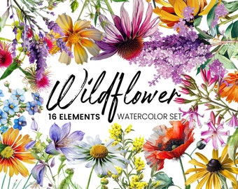 Fleurs sauvages 16 éléments aquarelle ensemble Clipart (graphique) Illustration botanique Téléchargement instantané Image pour l'artisanat, invitations, commercial
