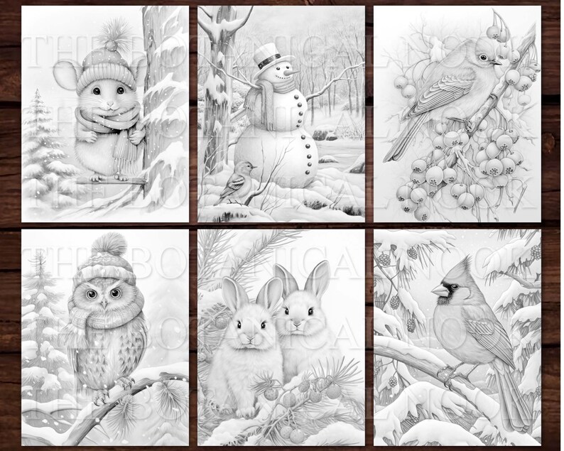 May include: Six black and white illustrations of winter scenes. The first image shows a mouse wearing a hat and scarf sitting on a branch. The second image shows a snowman standing in the snow. The third image shows a bluebird perched on a branch with berries. The fourth image shows an owl wearing a hat and scarf sitting on a branch. The fifth image shows two rabbits sitting in the snow. The sixth image shows a cardinal perched on a branch.