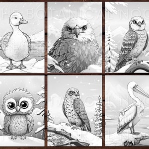 K&ouml;nnte beinhalten: Sechs Schwarz-Wei&szlig;-Illustrationen von V&ouml;geln in einer verschneiten Landschaft. Die Bilder zeigen eine Ente, einen Adler, einen Falken, eine Eule, einen weiteren Falken und einen Pelikan. Der Text "THE BOTANICAL NOOK" ist oben zu sehen.