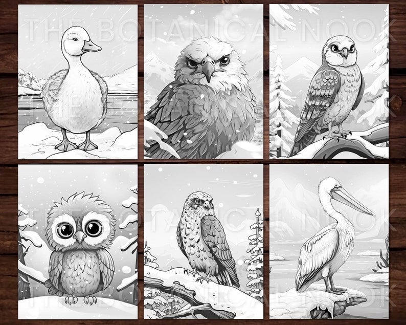 K&ouml;nnte beinhalten: Sechs Schwarz-Wei&szlig;-Illustrationen von V&ouml;geln in einer verschneiten Landschaft. Die Bilder zeigen eine Ente, einen Adler, einen Falken, eine Eule, einen weiteren Falken und einen Pelikan. Der Text "THE BOTANICAL NOOK" ist oben zu sehen.