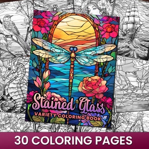 May include: A coloring book with 30 pages featuring stained glass designs. The cover shows a dragonfly with colorful wings, flowers, and a sunset.