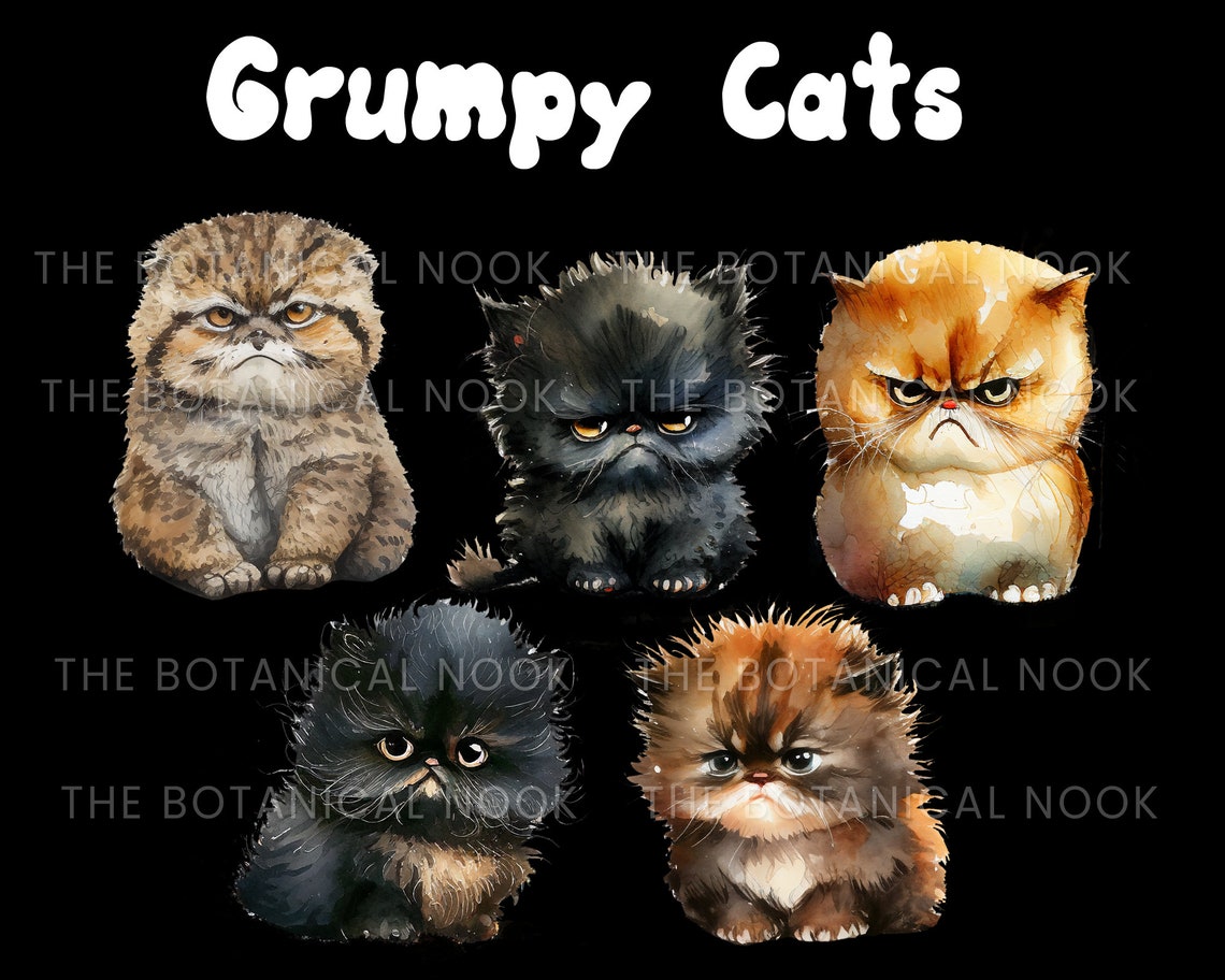 Gumpy Kitten 10 Grumpy Cats Cute Fluffy Kitten Watercolor Clip Art Set (10 Graphics ...