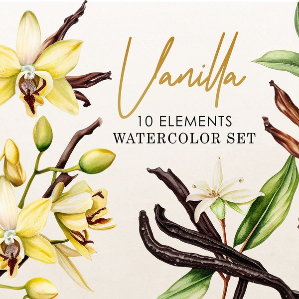 Watercolor Vanilla (10 Element Graphic Set) Botanical Illustration Instant Download Image for crafting, invitations, commercial use