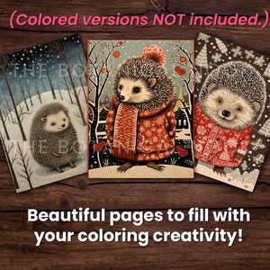 30 Cute Porcupines Animal Coloring Page Book, Adults + kids Instant Download Grayscale Coloring Page, Printable PDF, Feast, Family, Cute image 3