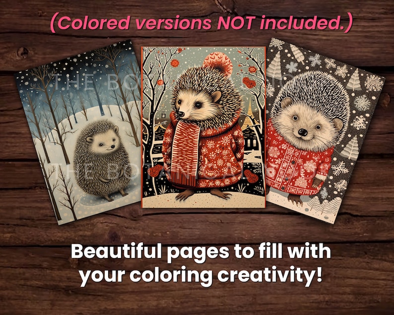30 Cute Porcupines Animal Coloring Page Book, Adults + kids Instant Download Grayscale Coloring Page, Printable PDF, Feast, Family, Cute image 3