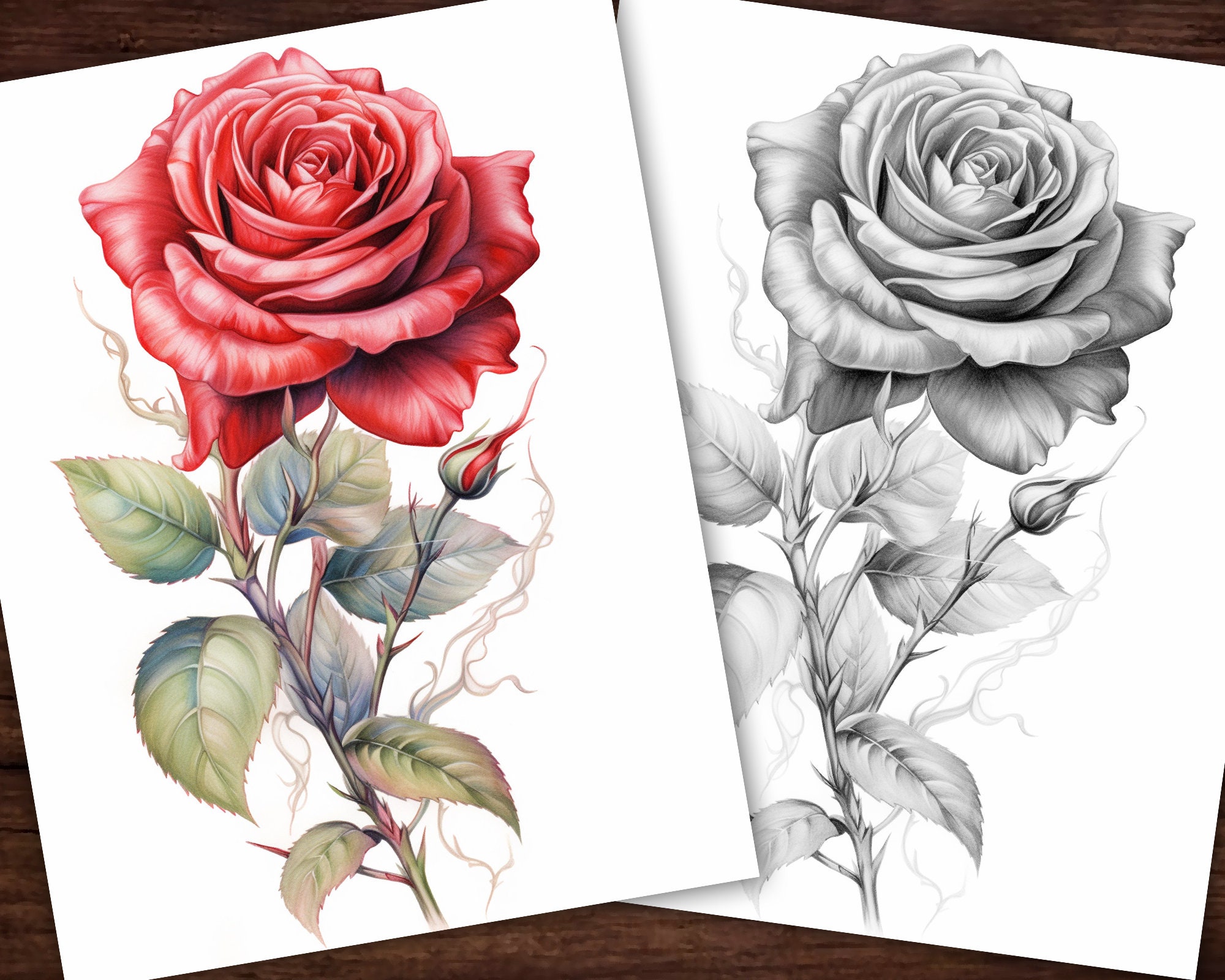 21 Rose Elegance Collection Coloring Page, Adults + Kids- Instant ...