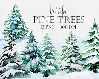 Winter Snow Pine Trees Woods Watercolor (Graphic) Botanical Illustration Set, Christmas Evergreen Forest Instant Download