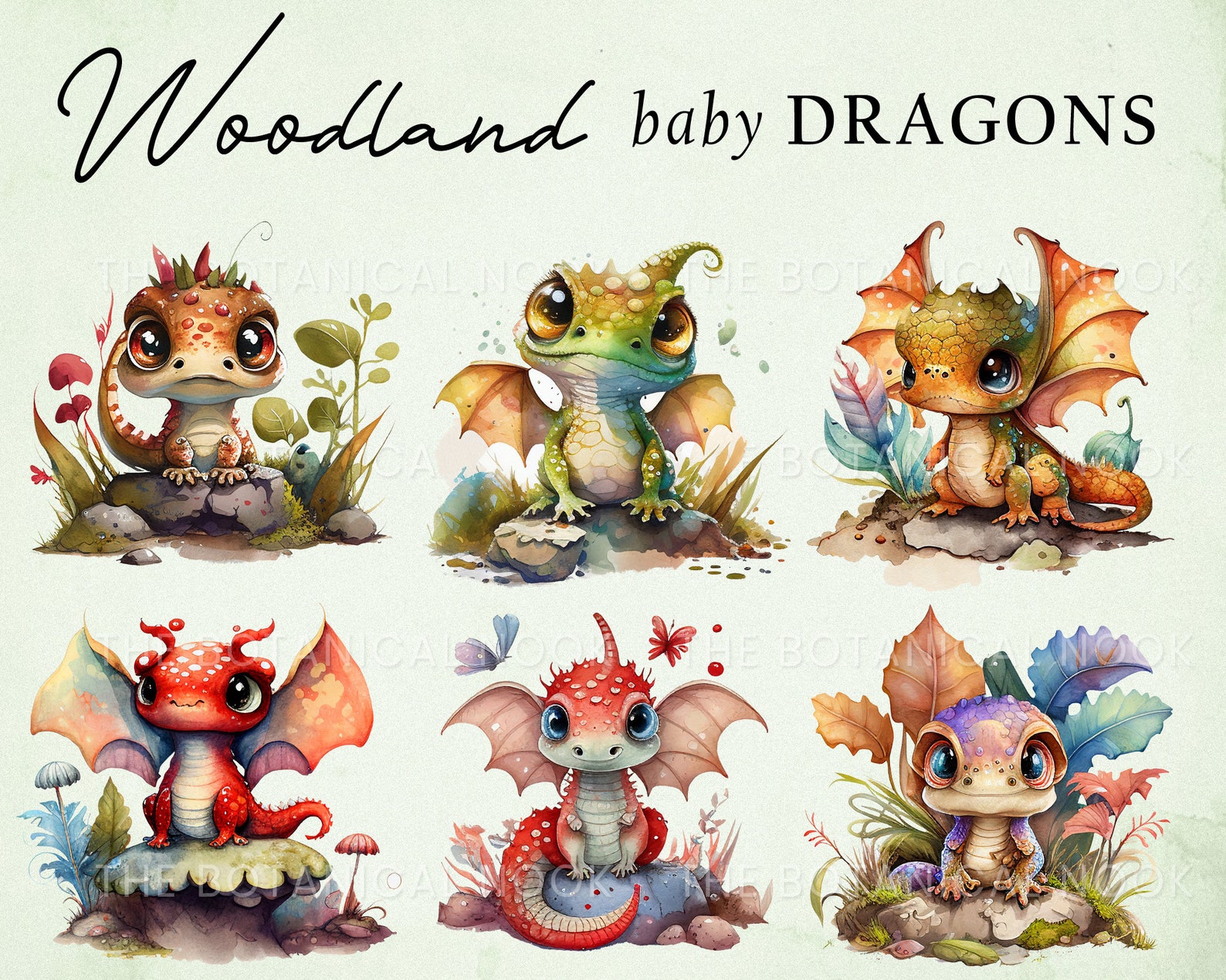 Cute Woodland Dragon Babies (12 Graphic Clip Art) Illustration Instant ...