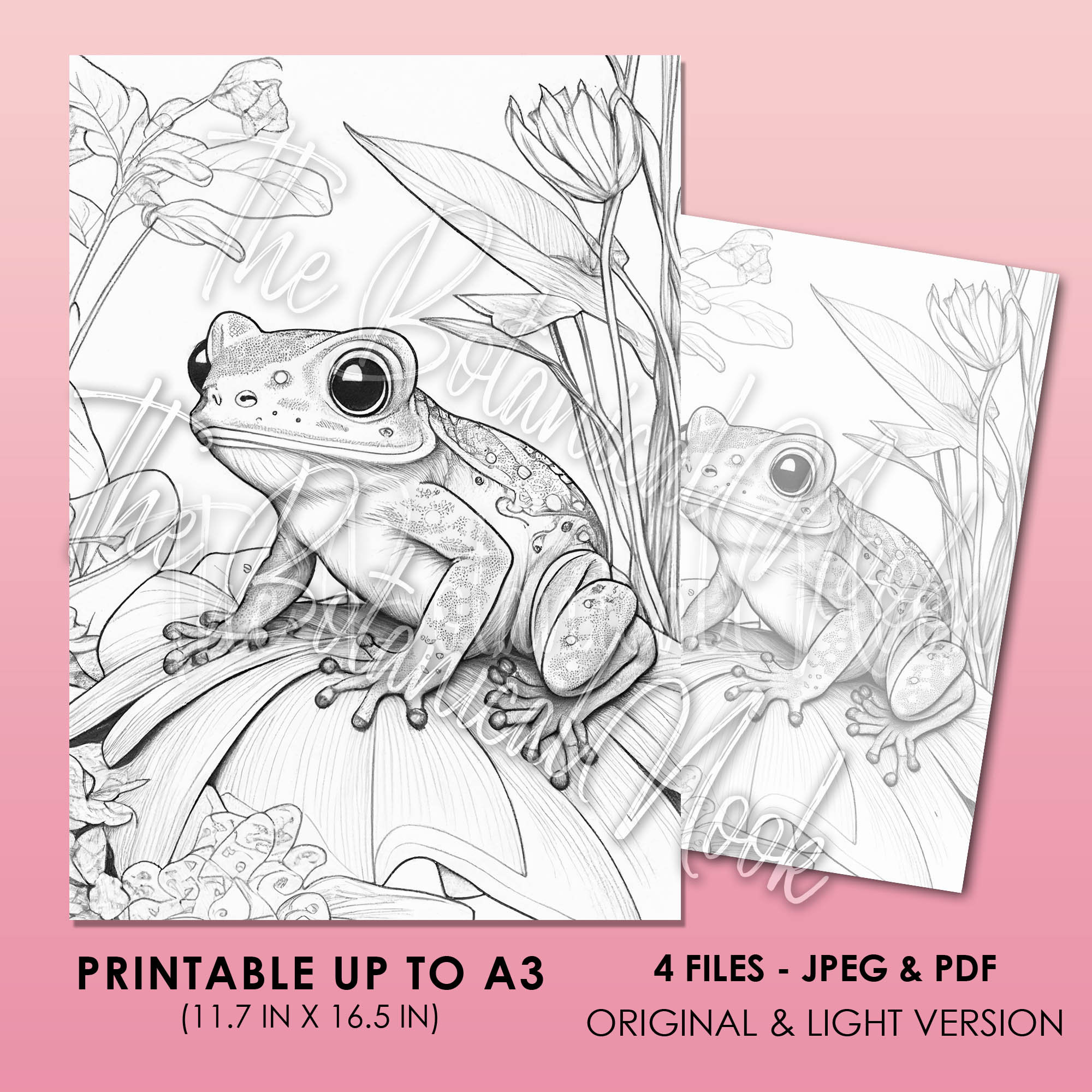 Frog Coloring Page for Adults and Kids Instant Download Etsy Australia