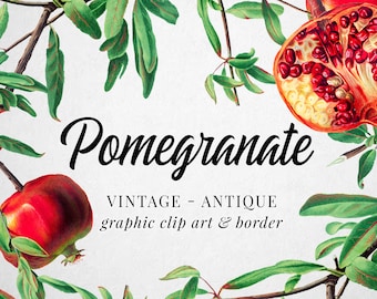 Vintage Granat Clipart (Grafika) Granica Botaniczna Ilustracja Natychmiastowe Pobieranie Obraz do Tworzenia, Zaproszenia, Użytku Komercyjnego