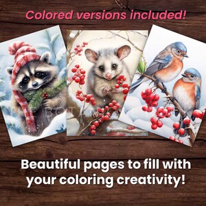 May include: Three coloring pages featuring a raccoon wearing a red and white hat, a white mouse with red eyes, and two bluebirds perched on a branch with red berries. The pages are designed for coloring and feature wintery scenes.