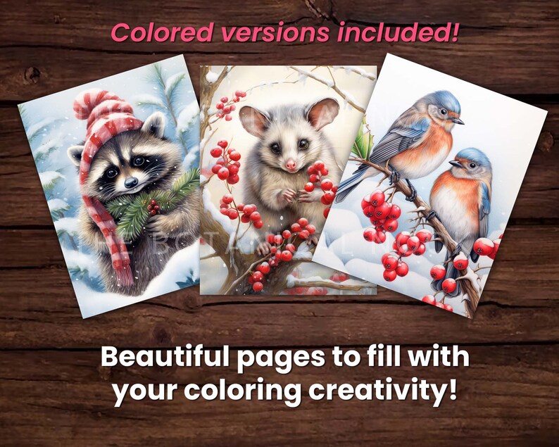 May include: Three coloring pages featuring a raccoon wearing a red and white hat, a white mouse with red eyes, and two bluebirds perched on a branch with red berries. The pages are designed for coloring and feature wintery scenes.