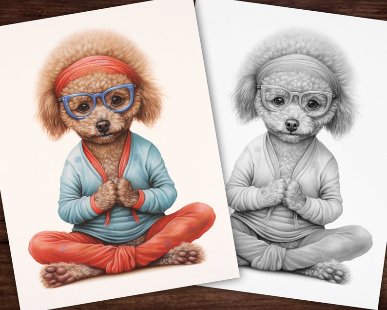 Pu&ograve; includere: Due stampe artistiche raffiguranti un barboncino in posa yoga. La stampa a colori mostra il cane con occhiali, una fascia, una giacca blu e pantaloni arancioni. La stampa in bianco e nero mostra la stessa immagine in scala di grigi.