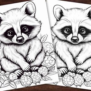 May include: A black and white line drawing of a raccoon sitting on a bed of blackberries. The raccoon has a cute, cartoon-like expression.