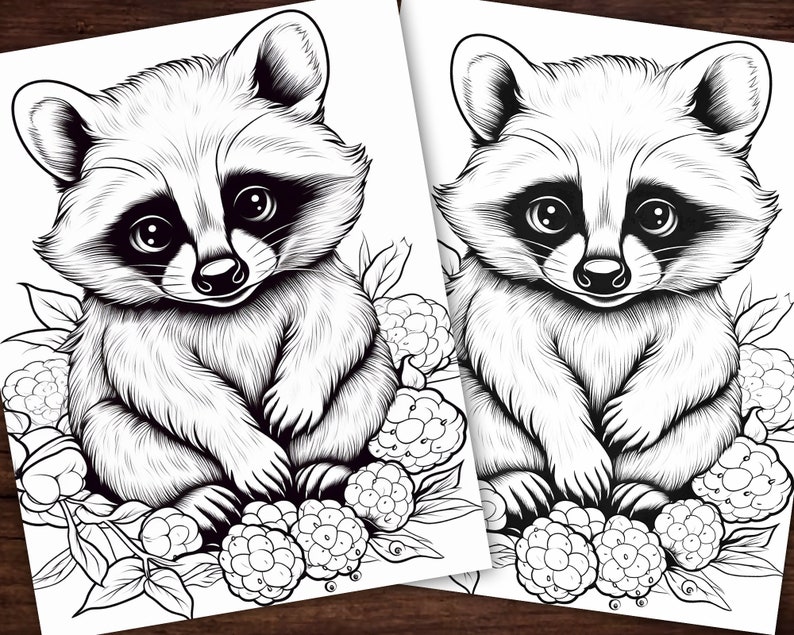 May include: A black and white line drawing of a raccoon sitting on a bed of blackberries. The raccoon has a cute, cartoon-like expression.