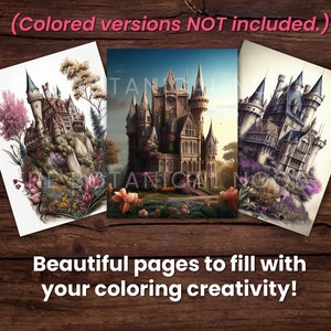 21 Castillos Elegante libro para colorear, Descarga instantánea para adultos Página para colorear en escala de grises PDF imprimible, cabañas, castillos medievales, hermosos imagen 2