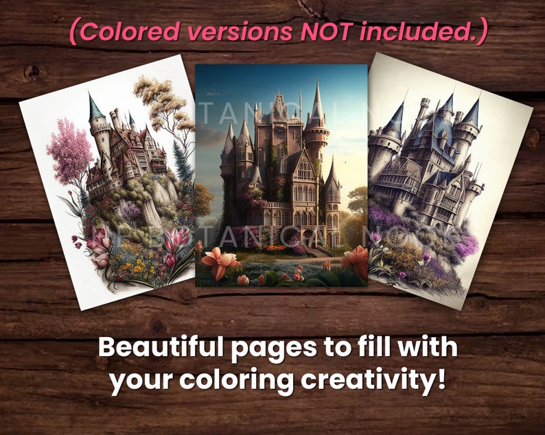 21 Castillos Elegante libro para colorear, Descarga instantánea para adultos Página para colorear en escala de grises PDF imprimible, cabañas, castillos medievales, hermosos imagen 2