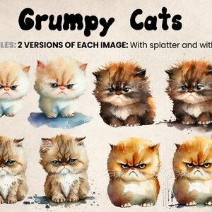 May include: A digital illustration of ten grumpy cats with watercolor-like textures. The cats are all different colors and have different expressions on their faces. The text "Grumpy Cats" is at the top of the image, and the text "20 FILES: 2 VERSIONS OF EACH IMAGE: With splatter and without" is below the cats.