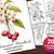 24 Baby Woodland Dragon Fantasy Coloring Page Book, Adults Kids Instant ...
